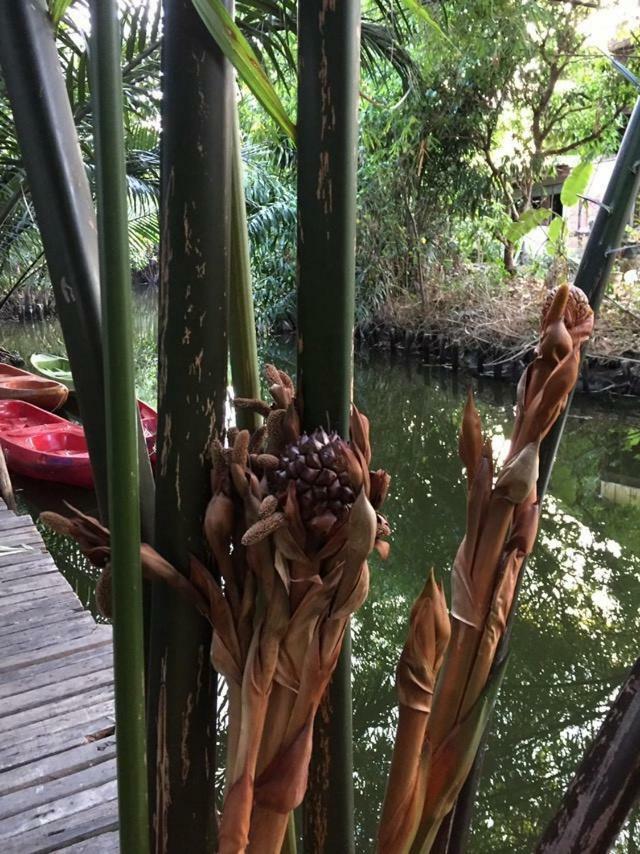 Baan Glangsuan Bang Kobua Hotel Bang Chak Luaran gambar