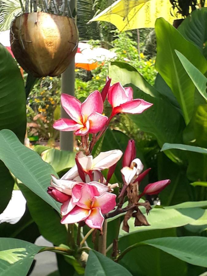 Baan Glangsuan Bang Kobua Hotel Bang Chak Luaran gambar